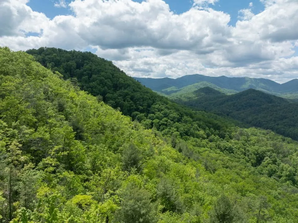 Lower Sawyers Creek Rd Robbinsville, NC 28771