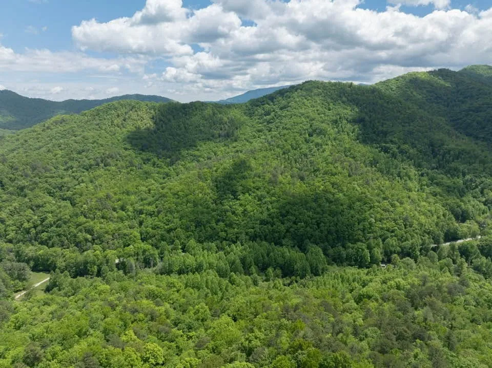 Lower Sawyers Creek Rd Robbinsville, NC 28771