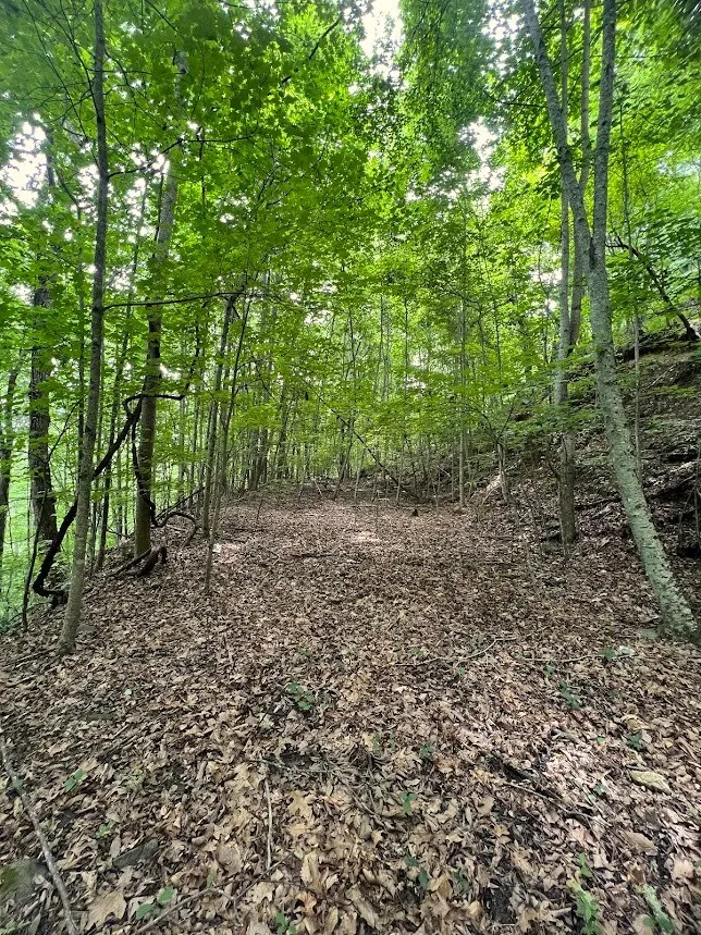 Friendship Walk Bryson City, NC 28713