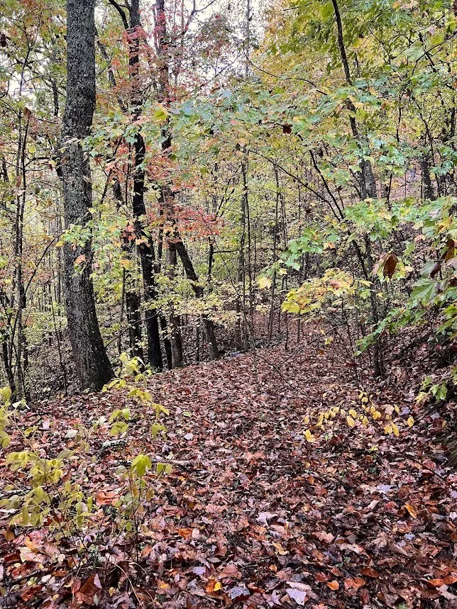 Friendship Walk Bryson City, NC 28713