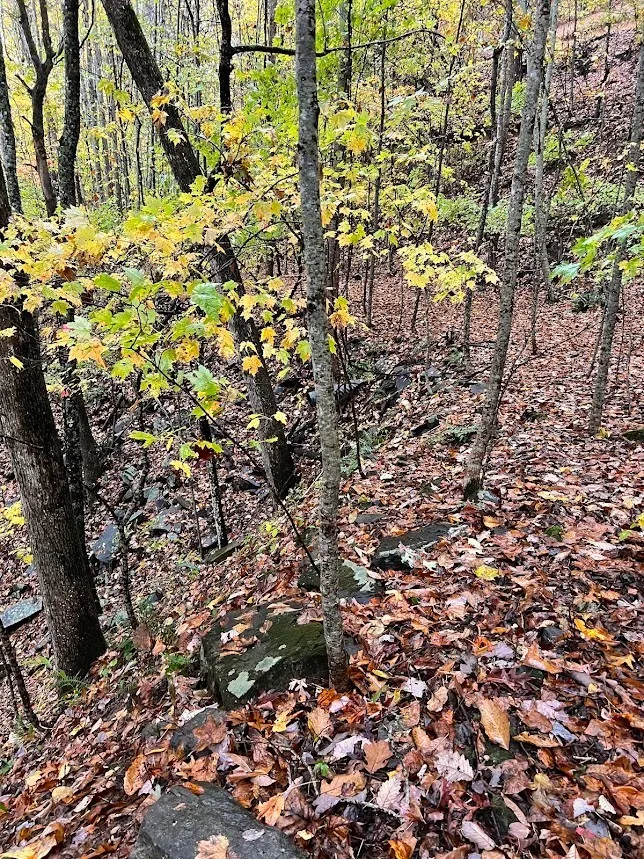 Friendship Walk Bryson City, NC 28713