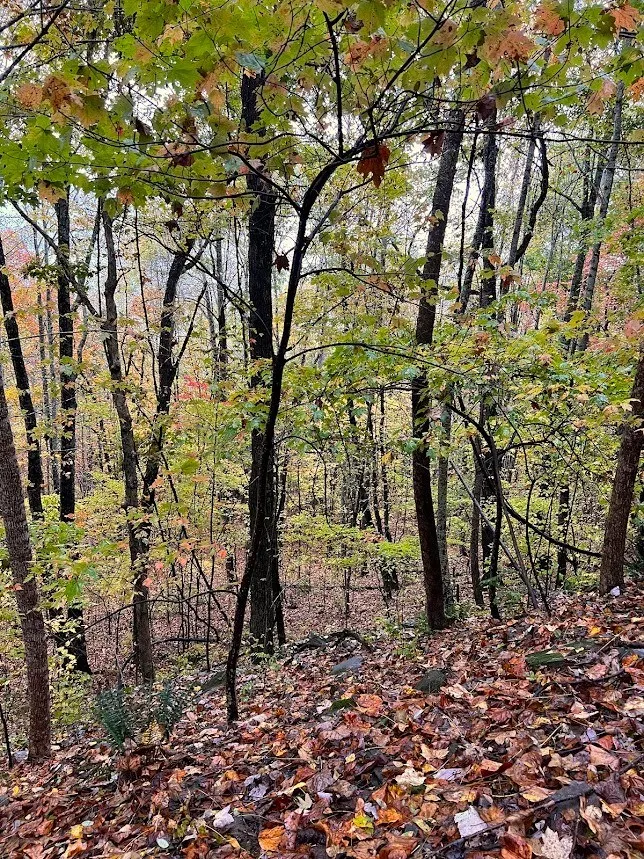 Friendship Walk Bryson City, NC 28713