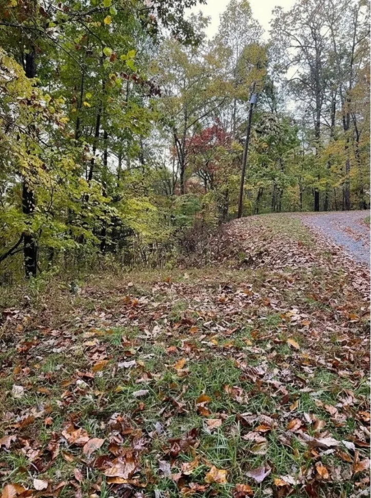 Friendship Walk Bryson City, NC 28713