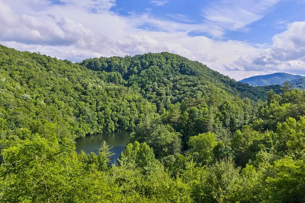 Winding Stairs Rd Topton, NC 28781