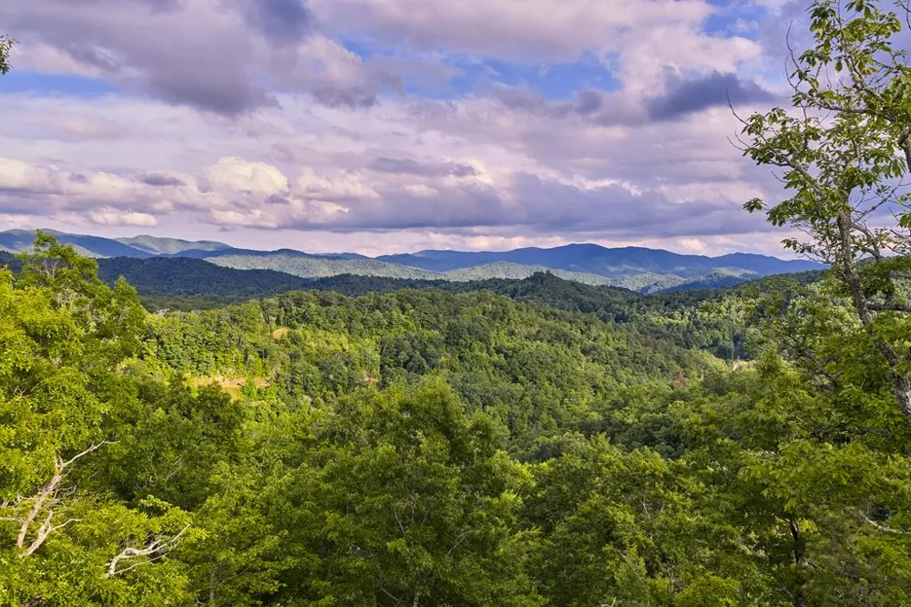 Winding Stairs Rd Topton, NC 28781