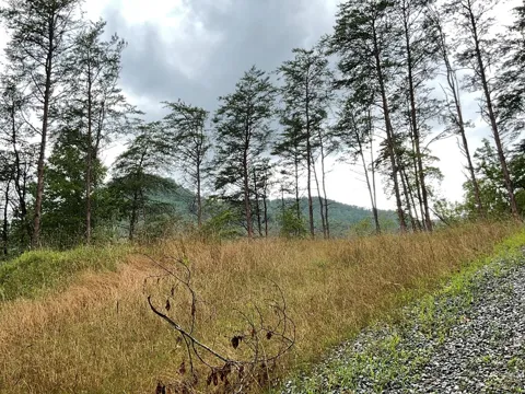675 Big Creek Road