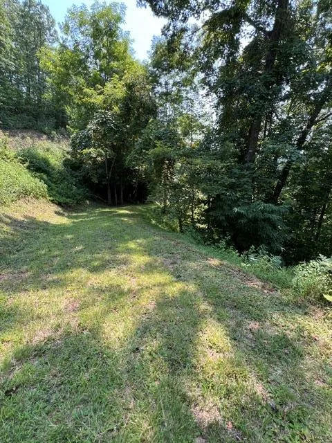 Fontana Ridge Rd Bryson City, NC 28713