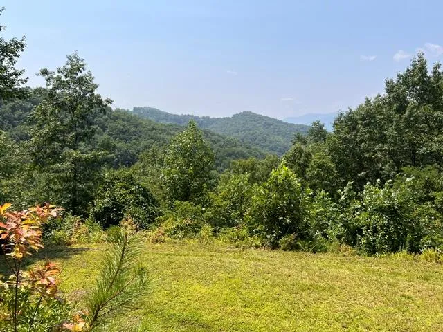 Fontana Ridge Rd Bryson City, NC 28713