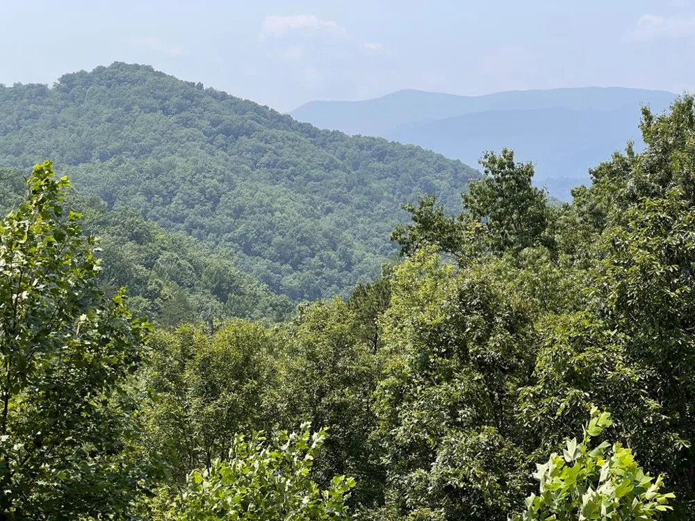 Fontana Ridge Rd Bryson City, NC 28713