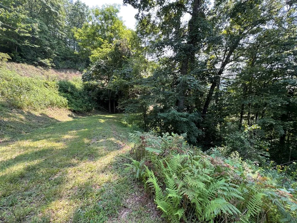 Fontana Ridge Rd Bryson City, NC 28713
