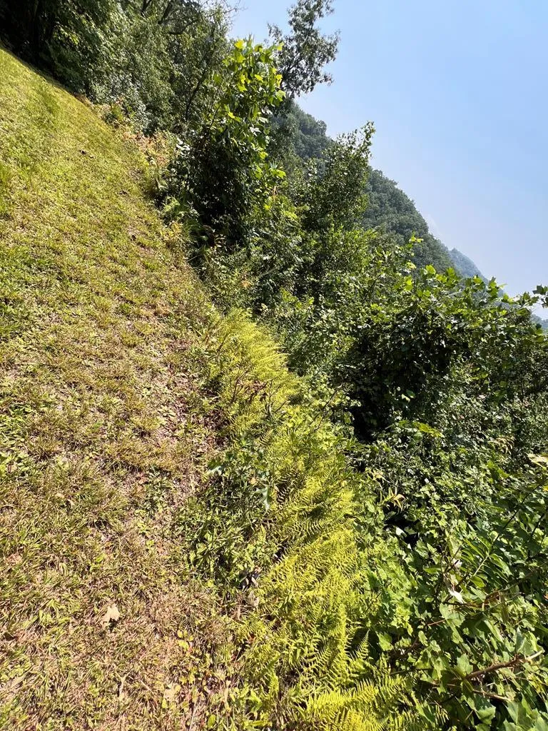 Fontana Ridge Rd Bryson City, NC 28713