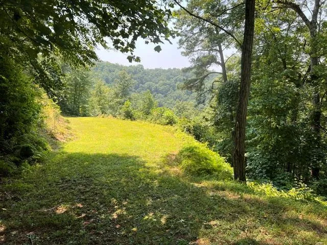 Fontana Ridge Rd Bryson City, NC 28713