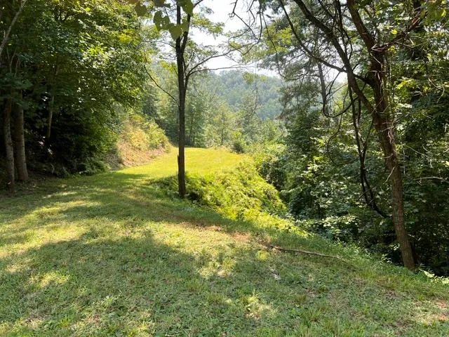 Fontana Ridge Rd Bryson City, NC 28713