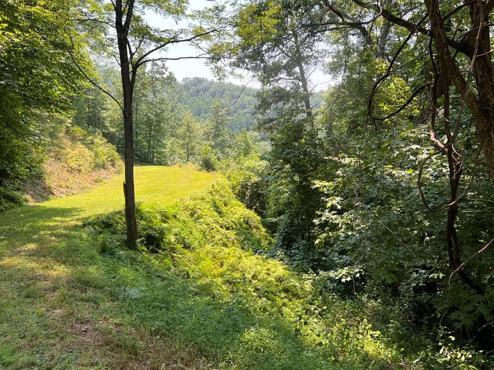 Fontana Ridge Rd Bryson City, NC 28713