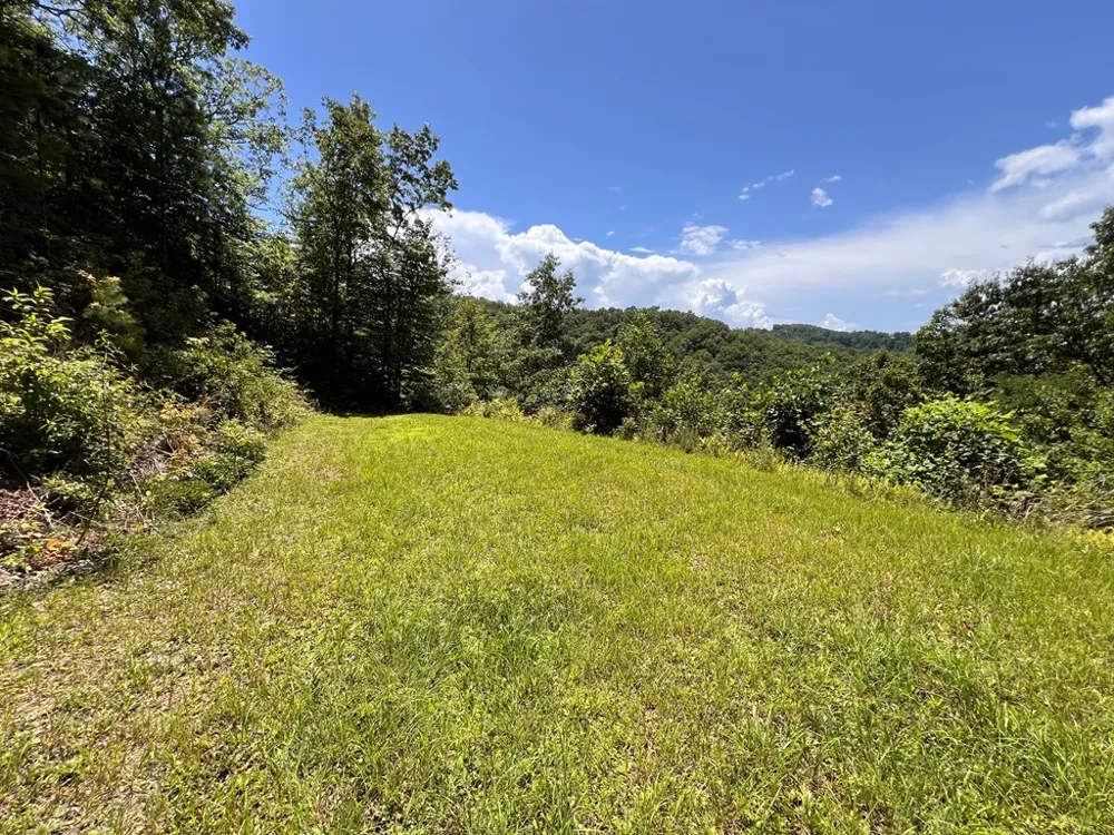 Fontana Ridge Rd Bryson City, NC 28713