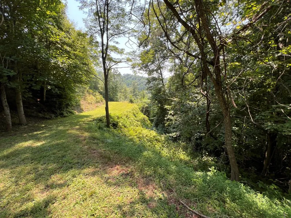 Fontana Ridge Rd Bryson City, NC 28713