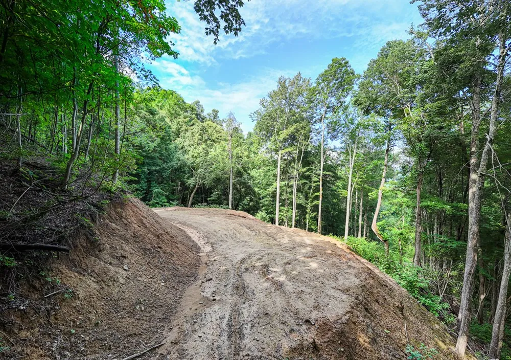 Falls View Dr Bryson City, NC 28713