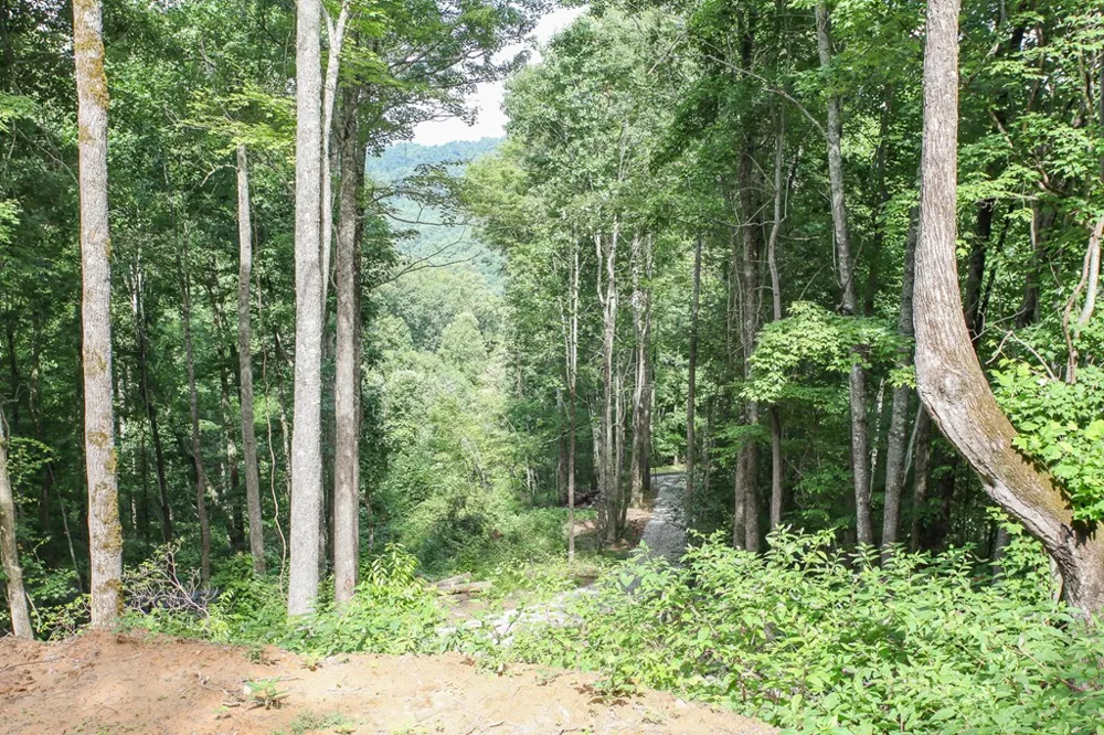 Falls View Dr Bryson City, NC 28713