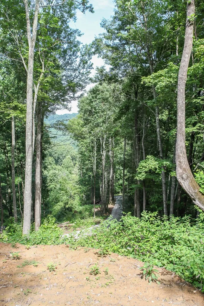 Falls View Dr Bryson City, NC 28713