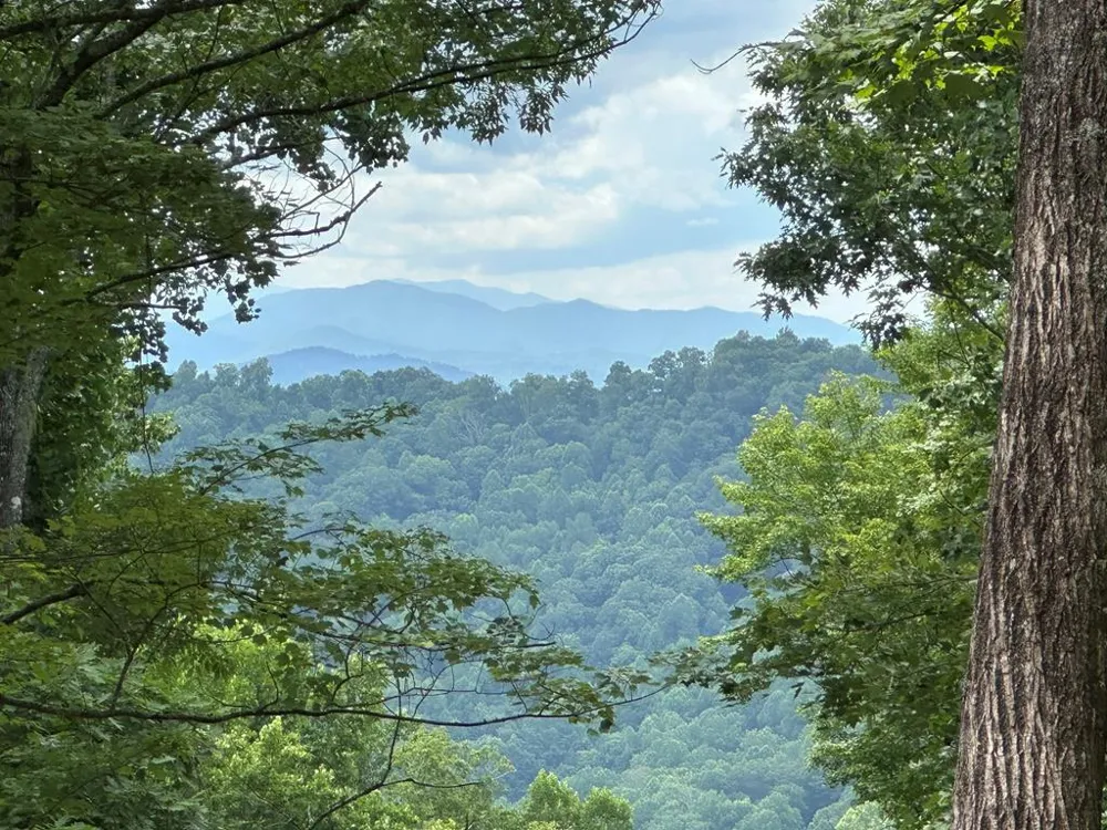 Falls View Dr Bryson City, NC 28713