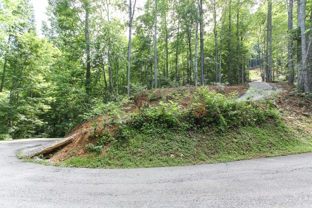 Falls View Dr Bryson City, NC 28713
