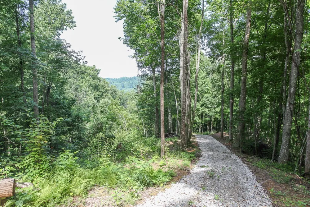 Falls View Dr Bryson City, NC 28713