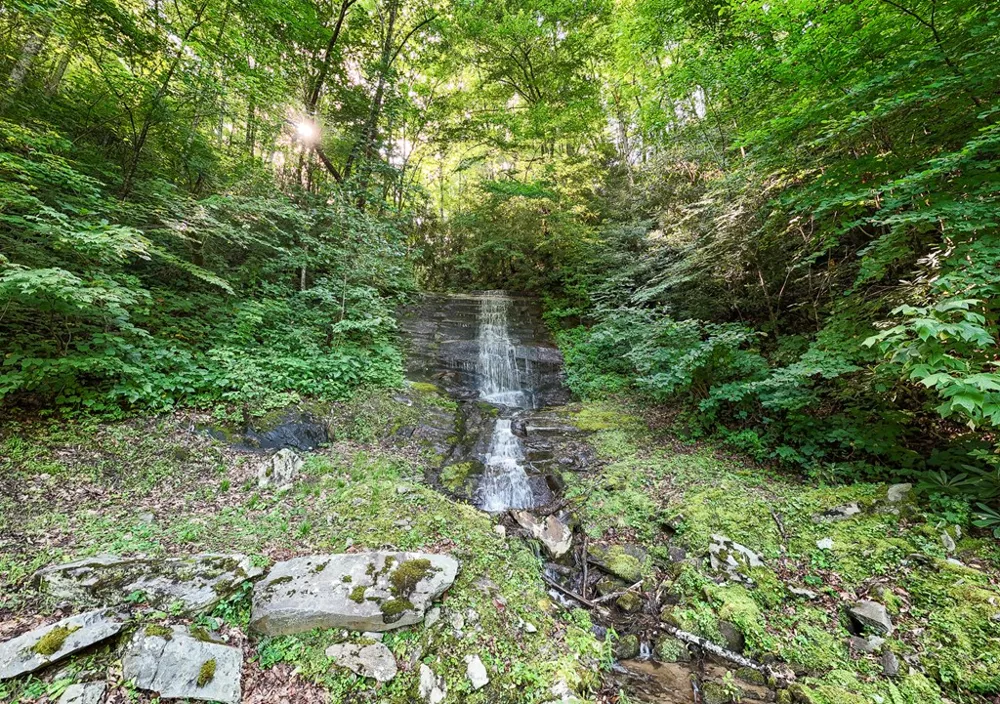 Falls View Dr Bryson City, NC 28713