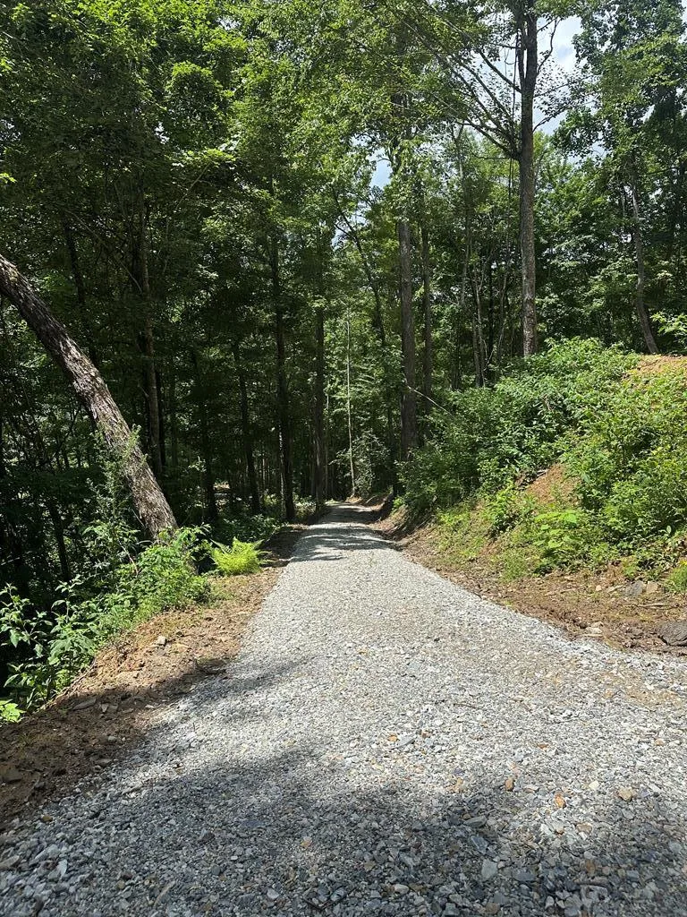 Falls View Dr Bryson City, NC 28713