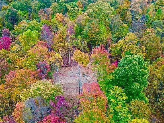 Falls View Dr Bryson City, NC 28713
