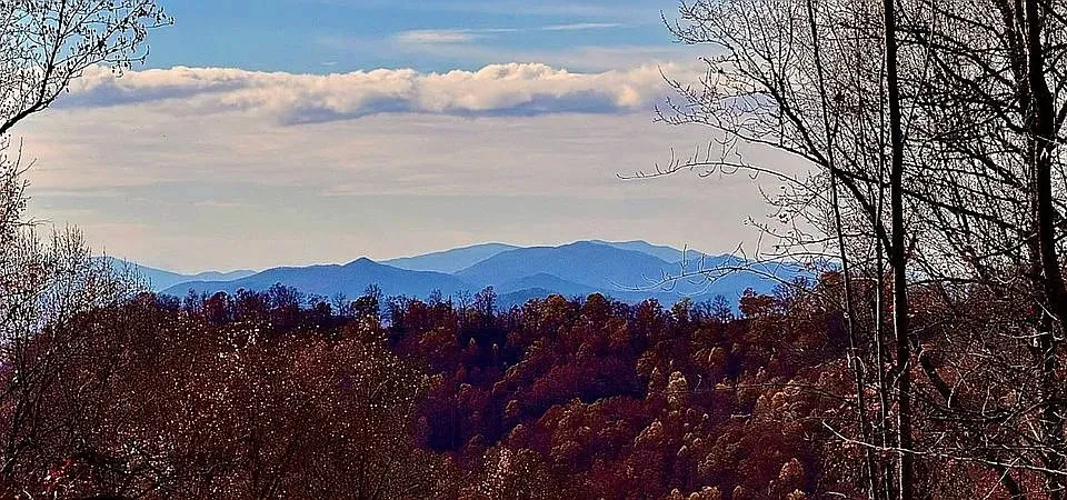 Falls View Dr Bryson City, NC 28713