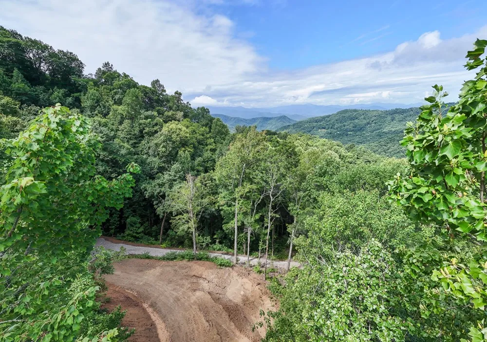 Falls View Dr Bryson City, NC 28713