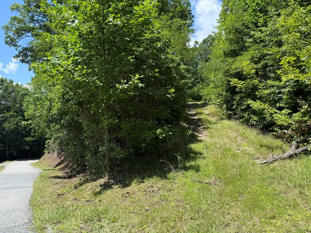 Alarka Highlands Bryson City, NC 28713