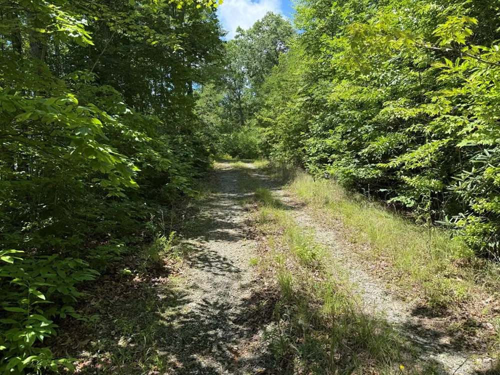 Alarka Highlands Bryson City, NC 28713