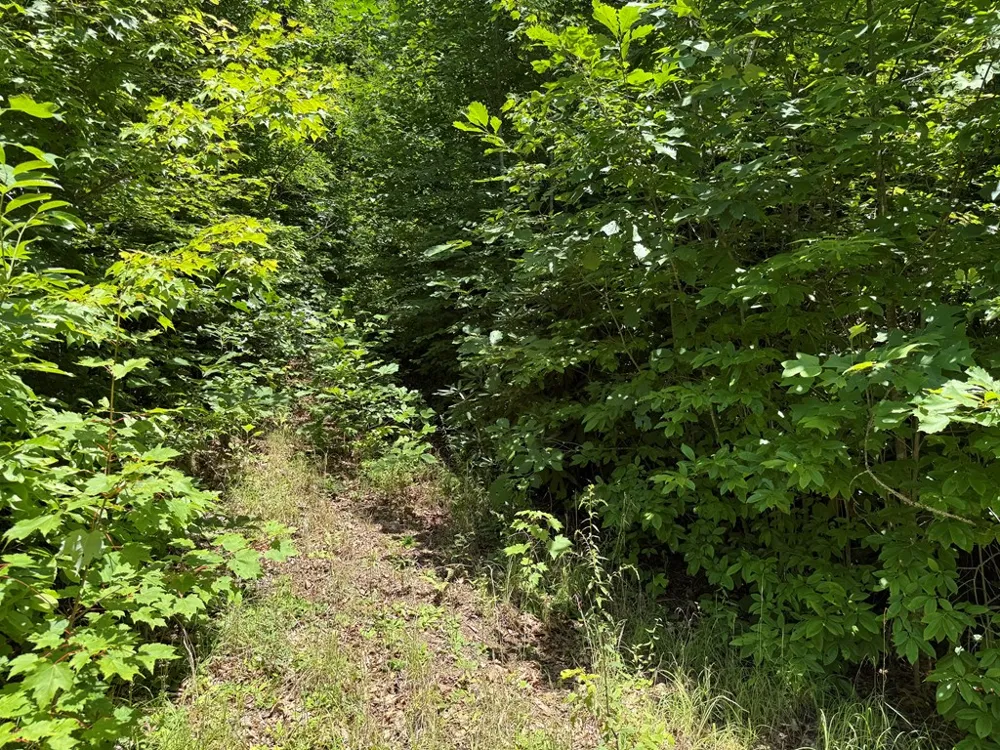 Alarka Highlands Bryson City, NC 28713