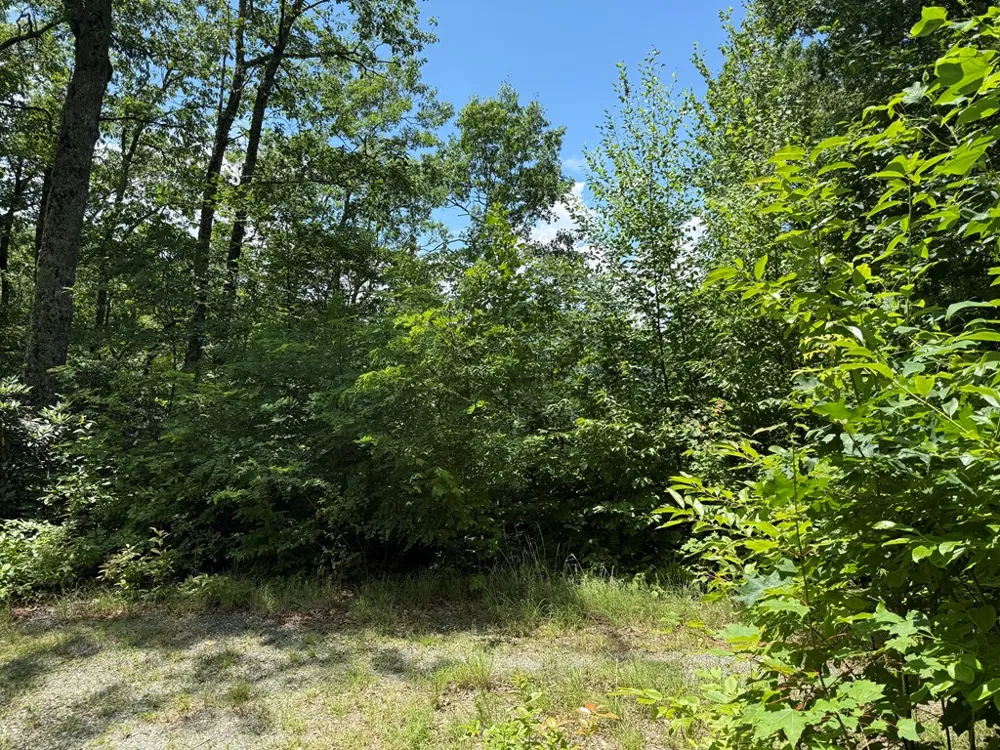 Alarka Highlands Bryson City, NC 28713