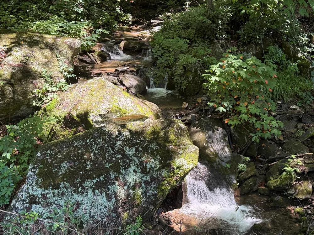Alarka Highlands Bryson City, NC 28713