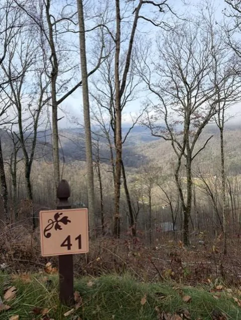 High Mountain View