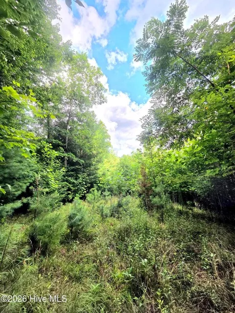 Camp Branch Road