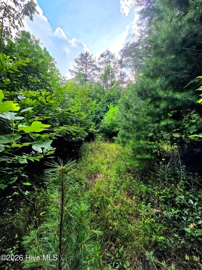 Camp Branch Road Topton, NC 28781