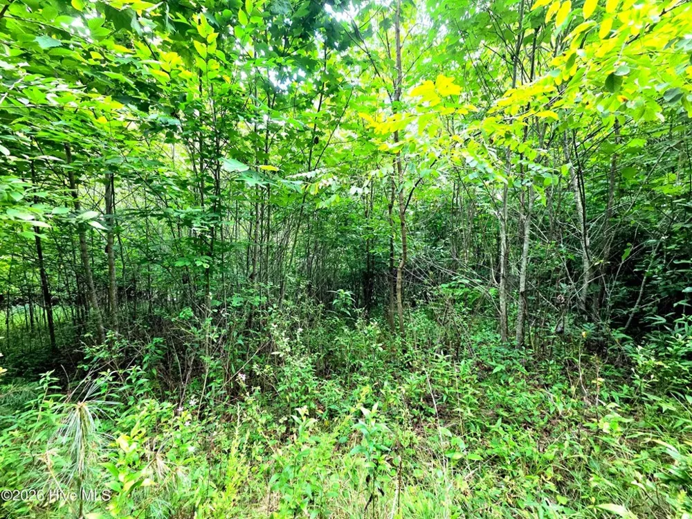 Camp Branch Road Topton, NC 28781