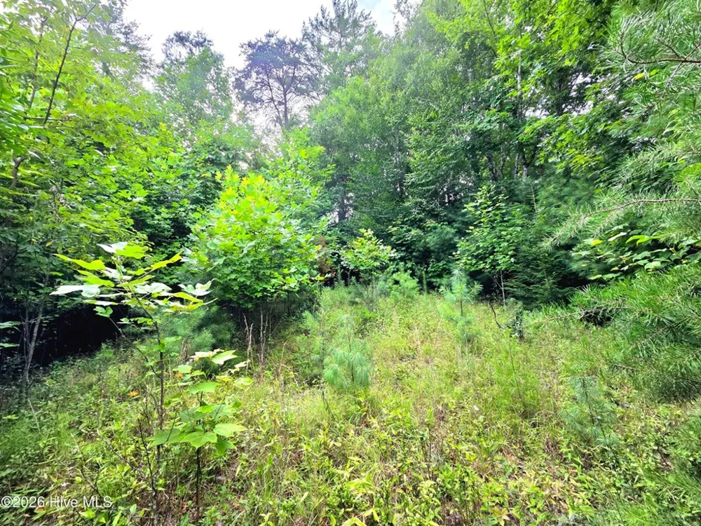 Camp Branch Road Topton, NC 28781