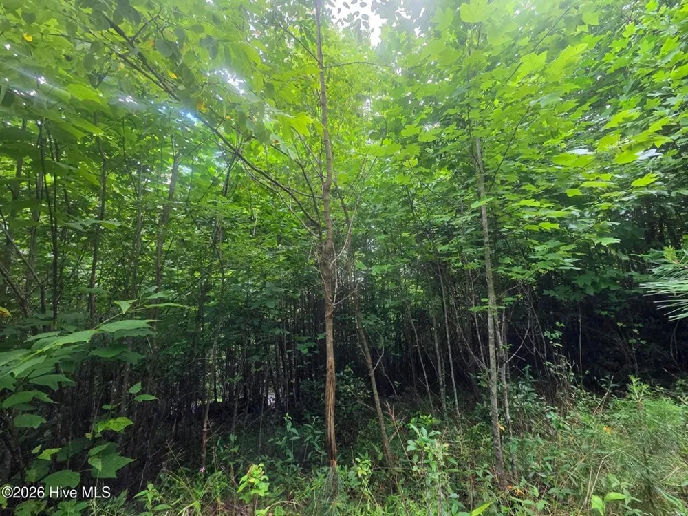 Camp Branch Road Topton, NC 28781