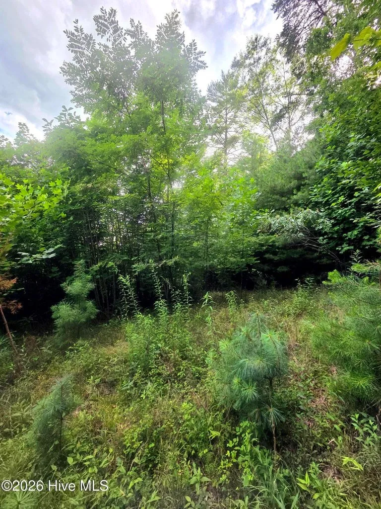 Camp Branch Road Topton, NC 28781