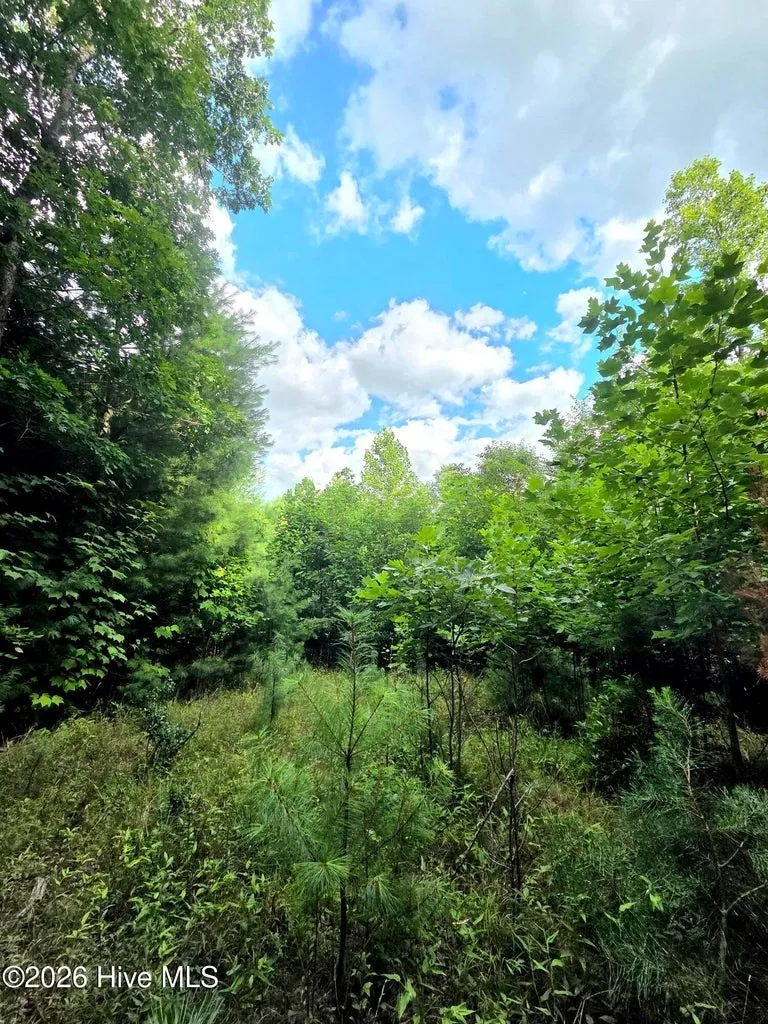 Camp Branch Road Topton, NC 28781