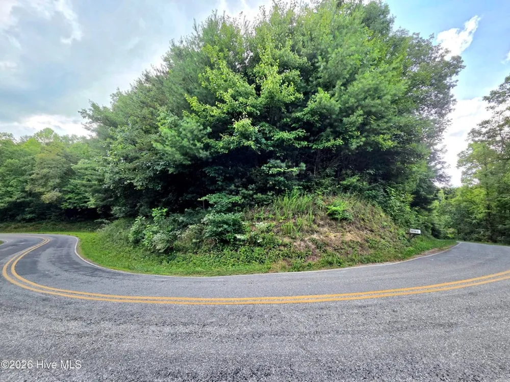 Camp Branch Road Topton, NC 28781