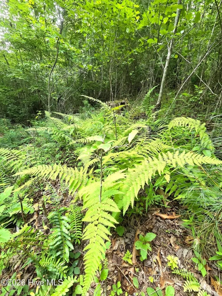 Camp Branch Road Topton, NC 28781