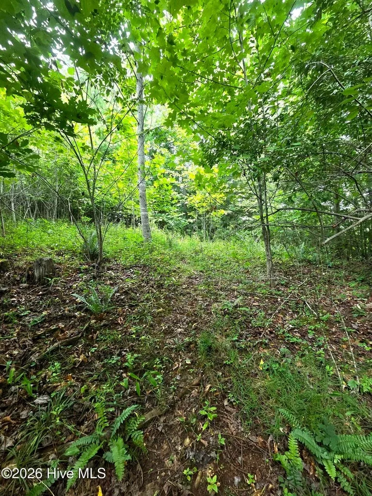 Camp Branch Road Topton, NC 28781