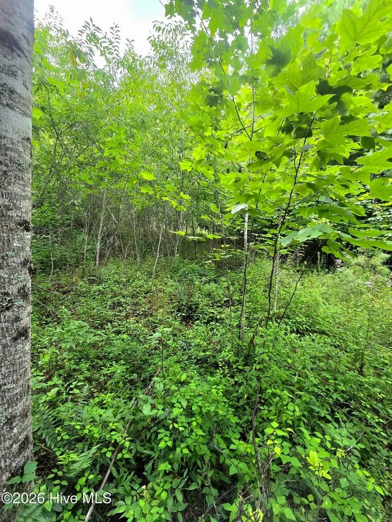 Camp Branch Road Topton, NC 28781