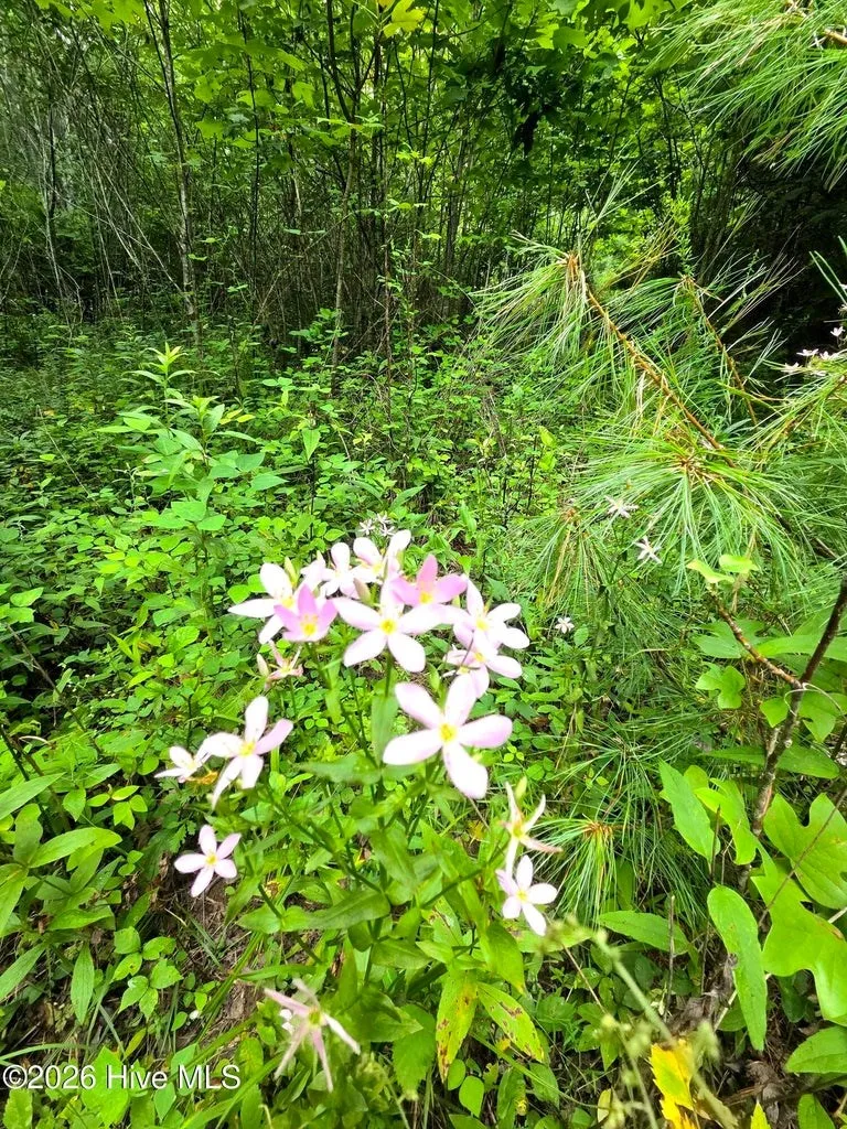 Camp Branch Road Topton, NC 28781