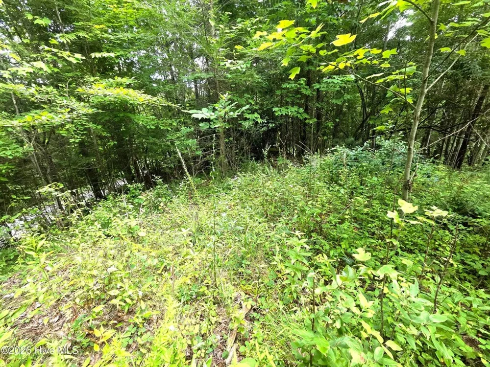Camp Branch Road Topton, NC 28781